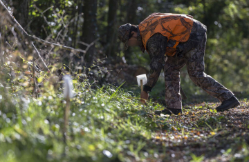 La chasse accompagn e